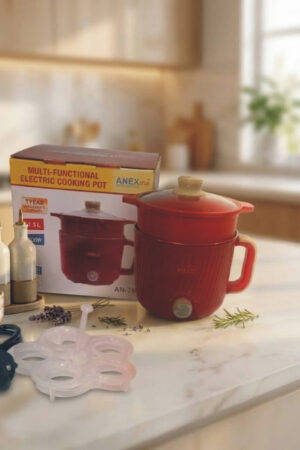 Multifunctional electric cooking pot